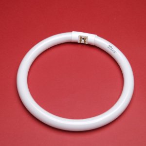 Lâmpada Fluorescente Especial T5 Circular 32W/10 (TR998)